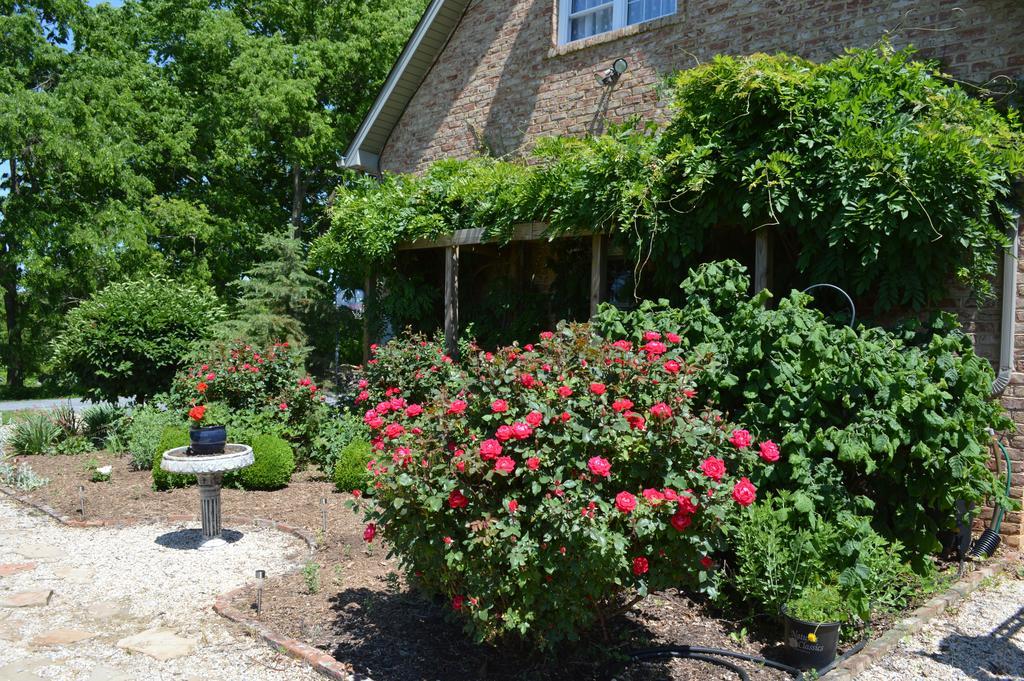 Rose Cottage Bed & Breakfast Fairplay Екстериор снимка